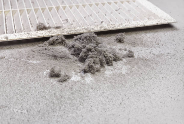 Best Best Air Duct Cleaning Company  in Mendota, CA